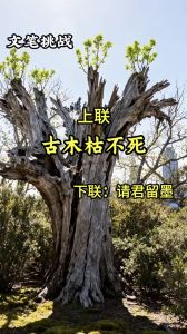 古木枯不死，原心愿重生