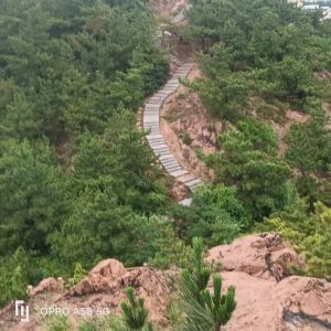 青岛李村老虎山 青岛李村老虎山