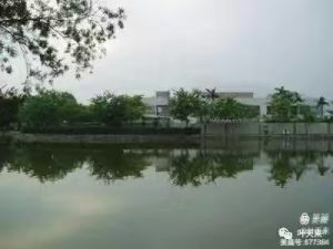 灰霾天