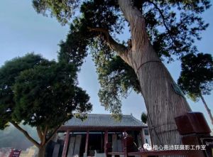 司马迁祠 司马迁祠