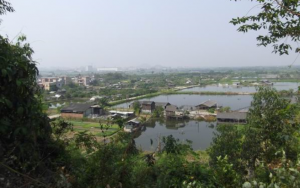 题番禺大岭村 题番禺大岭村